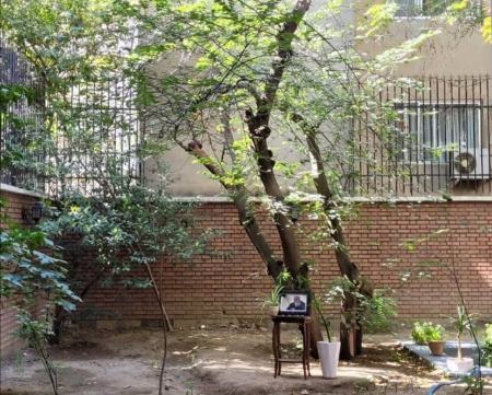 هوشنگ ابتهاج،اخبار هنری،خبرهای هنری هوشنگ ابتهاج،اخبار هنری،خبرهای هنری