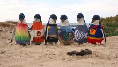  ژاکت‌ها به دست پنگوئن‌ها,اخبارگوناگون,خبرهای گوناگون 