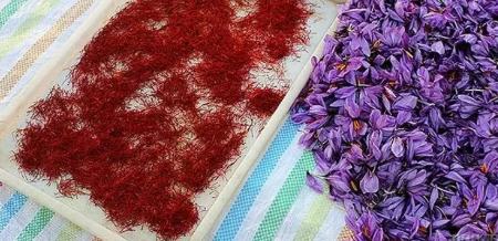 زعفران،اخبار اقتصادی،خبرهای اقتصادی زعفران،اخبار اقتصادی،خبرهای اقتصادی