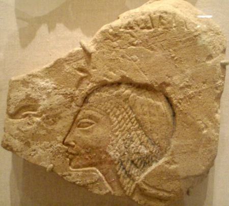  سردیس ملکه نفرتیتی,اخبارگوناگون,خبرهای گوناگون 