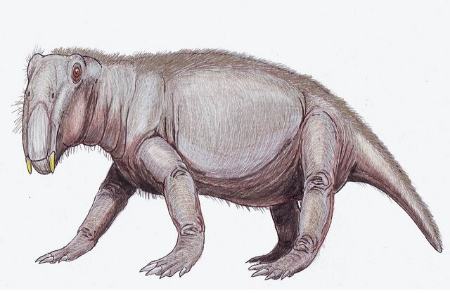 خوکِ دوران دایناسورها،اخبار علمی،خبرهای علمی