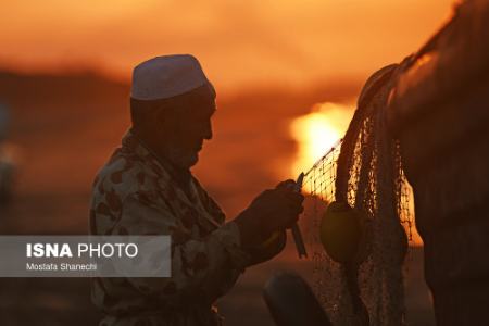  صید ماهی در مازندران ,اخبار اجتماعی ,خبرهای اجتماعی 