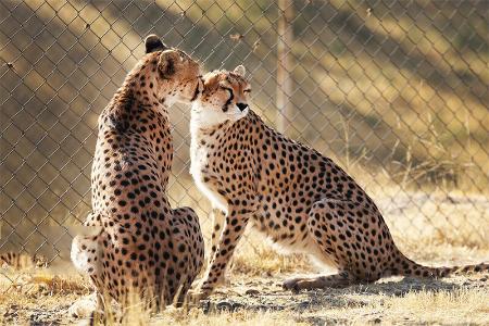 ،اخباراجتماعی ،خبرهای اجتماعی ,اخبار اجتماعی ,خبرهای اجتماعی