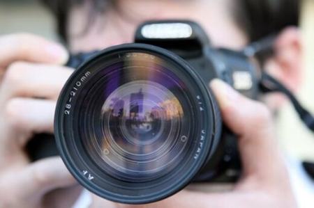 حیات وحش،اخبارگوناگون,خبرهای گوناگون حیات وحش,اخبارگوناگون,خبرهای گوناگون