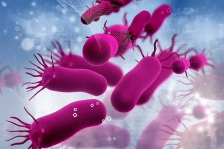  عفونت های باکتریایی,اخبار پزشکی ,خبرهای پزشکی