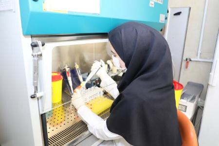 آنفلوانزا ،اخبار پزشکی ،خبرهای پزشکی آنفلوانزا,اخبار پزشکی ,خبرهای پزشکی