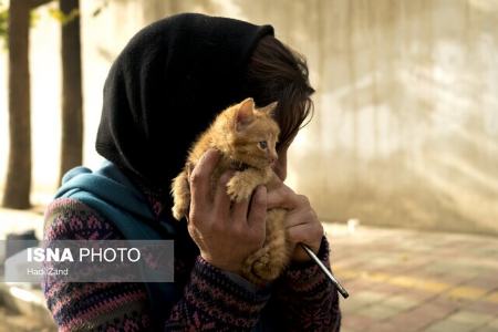 ،اخباراجتماعی ،خبرهای اجتماعی ,اخبار اجتماعی ,خبرهای اجتماعی