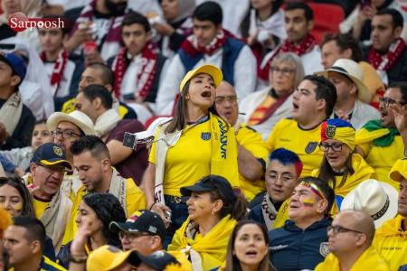 تماشاگران جام جهانی 2022 قطر،اخبار ورزشی،خبرهای ورزشی تماشاگران جام جهانی 2022 قطر،اخبار ورزشی،خبرهای ورزشی