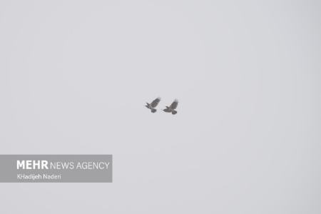 آلودگی هوا اصفهان،عکس خبری،تصاویر خبری آلودگی هوا اصفهان،عکس خبری،تصاویر خبری