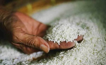 واردات برنج,اخباراقتصادی ,خبرهای اقتصادی 