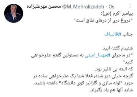 مهرعلیزاده ,اخبارسیاسی ,خبرهای سیاسی  