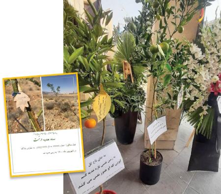 مراسم ختم ،اخباراجتماعی ،خبرهای اجتماعی مراسم ختم ,اخبار اجتماعی ,خبرهای اجتماعی
