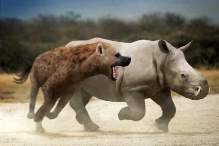 عجیب ترین جانوران دوران ماقبل تاریخ  ,اخبارگوناگون,خبرهای گوناگون 