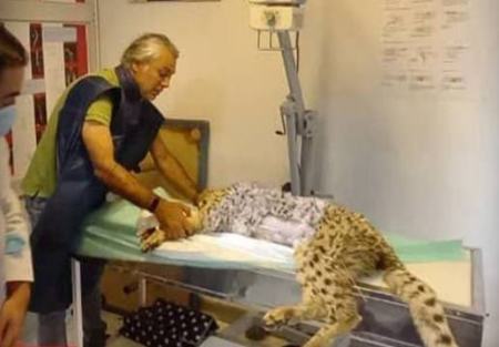 روند درمانی پیروز،اخباراجتماعی ،خبرهای اجتماعی روند درمانی پیروز ,اخبار اجتماعی ,خبرهای اجتماعی