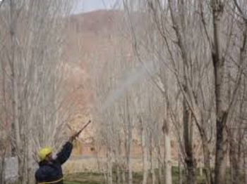 خرید سم,بهترین سم برای درخت میوه,بهترین فصل برای سم پاشی درختان میوه