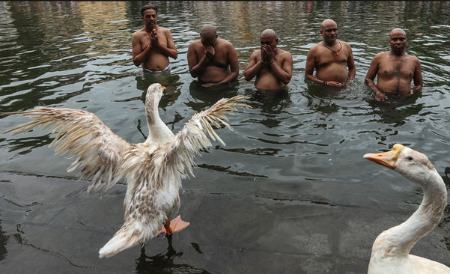 عکسهای جالب,عکسهای جذاب, اجرای یک مراسم آیینی هندوها در بمبئی هند/ EPA 