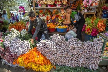 عکسهای جالب,عکسهای جذاب,فروش گل  