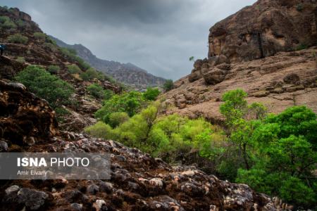  لرستان ,اخبارگوناگون,خبرهای گوناگون 