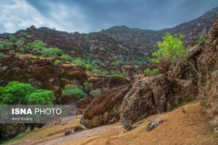 لرستان،اخبارگوناگون,خبرهای گوناگون لرستان ,اخبارگوناگون,خبرهای گوناگون