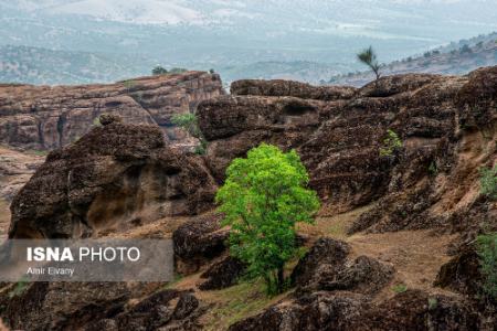  لرستان ,اخبارگوناگون,خبرهای گوناگون 