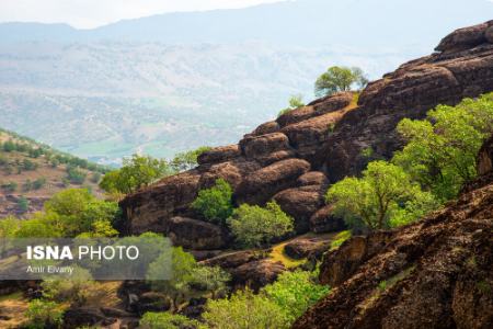 لرستان،اخبارگوناگون,خبرهای گوناگون لرستان ,اخبارگوناگون,خبرهای گوناگون