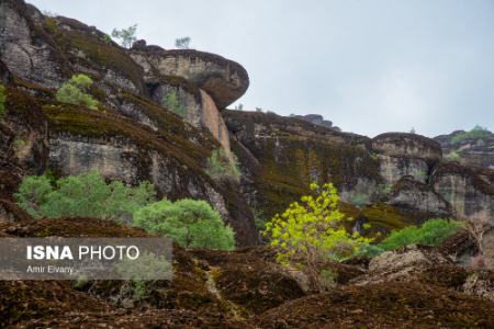  لرستان ,اخبارگوناگون,خبرهای گوناگون 