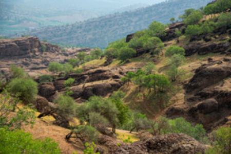 لرستان،اخبارگوناگون,خبرهای گوناگون لرستان ,اخبارگوناگون,خبرهای گوناگون