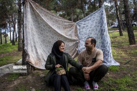 سیزده بدر ،اخبارگوناگون,خبرهای گوناگون سیزده بدر,اخبارگوناگون,خبرهای گوناگون