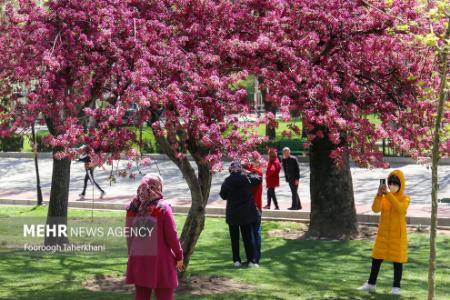 سیزده بدر ،اخبارگوناگون,خبرهای گوناگون سیزده بدر,اخبارگوناگون,خبرهای گوناگون