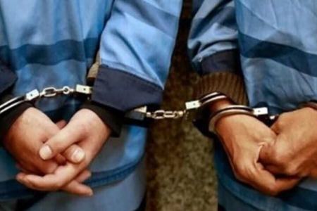 بازداشت دو مدیر سازمان محیط زیست کشور،اخبار سیاسی،خبرهای سیاسی