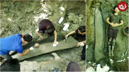 استخوان‌های غول‌آسا در تایوان،اخبار گوناگون،خبرهای گوناگون