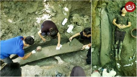 استخوانهای غولآسا در تایوان،اخبار گوناگون،خبرهای گوناگون استخوانهای غولآسا در تایوان،اخبار گوناگون،خبرهای گوناگون