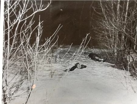 حوادث روز ،اخبارحوادث،خبرهای حوادث حوادث روز,اخبار حوادث,خبرهای حوادث