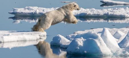 قطب شمال بدون یخ ,اخبار علمی ,خبرهای علمی 