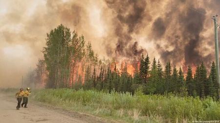 آتش سوزی جنگل های کانادا،اخبار حوادث،خبرهای حوادث