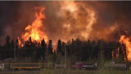 آتش سوزی جنگل های کانادا،اخبار حوادث،خبرهای حوادث