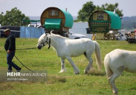 نمایشگاه اسب در بریتانیا،اخبار گوناگون،خبرهای گوناگون