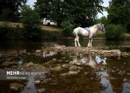 نمایشگاه اسب در بریتانیا،اخبار گوناگون،خبرهای گوناگون