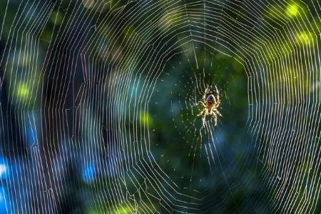 اخبار،اخبار جدید،اخبار روز اخبار،اخبار جدید،اخبار روز