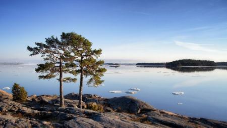 جزیره بدون گوشی در فنلاند،اخبار گوناگون،خبرهای گوناگون