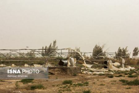 طوفان گرد و خاک در سیستان و بلوچستان،عکس خبری طوفان گرد و خاک در سیستان و بلوچستان،عکس خبری