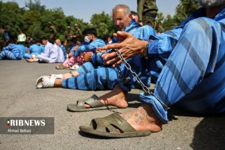 عکس خبری،دستگیری سارقان و مال خران پایتخت عکس خبری،دستگیری سارقان و مال خران پایتخت