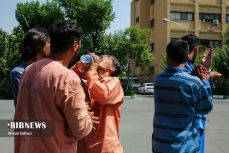 عکس خبری،دستگیری سارقان و مال خران پایتخت عکس خبری،دستگیری سارقان و مال خران پایتخت