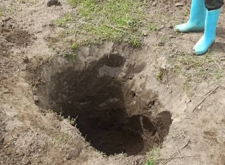 تالاب میانکاله،اخبار اجتماعی،خبرهای اجتماعی تالاب میانکاله،اخبار اجتماعی،خبرهای اجتماعی