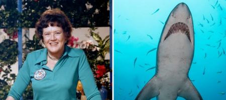 مخترعان زن،اخبار گوناگون،خبرهای گوناگون مخترعان زن،اخبار گوناگون،خبرهای گوناگون