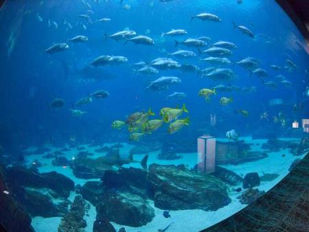 مخترعان زن،اخبار گوناگون،خبرهای گوناگون مخترعان زن،اخبار گوناگون،خبرهای گوناگون