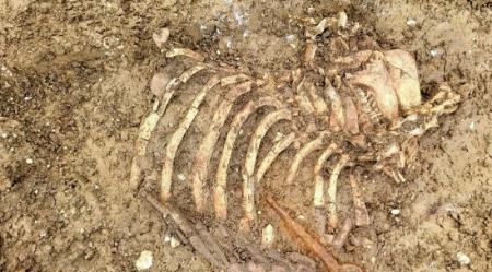 یافته‌های جدید و عجیب باستان‌شناس در انگلیس،اخبار گوناگون،خبرهای گوناگون