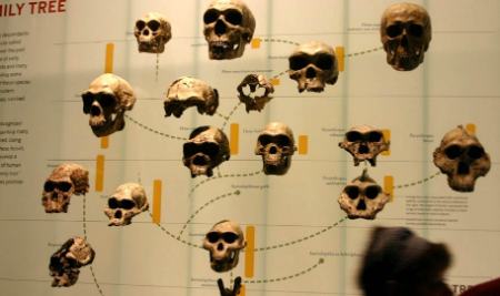 انسان شبیه به شبح،اخبار گوناگون،خبرهای گوناگون انسان شبیه به شبح،اخبار گوناگون،خبرهای گوناگون