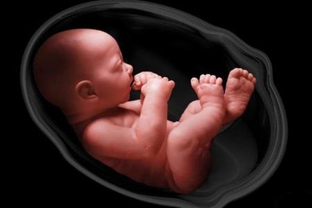 سقط جنین،اخبار پزشکی،خبرهای پزشکی