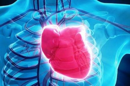 سلامت قلب،اخبار پزشکی،خبرهای پزشکی